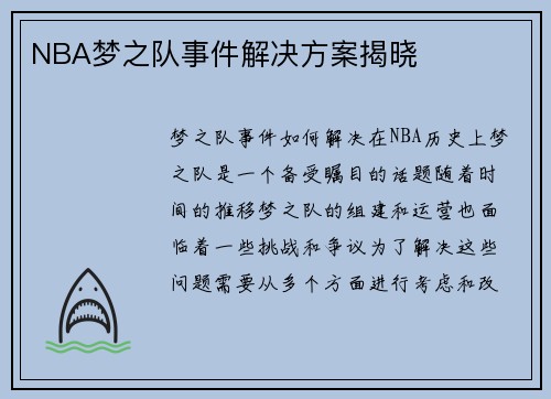 NBA梦之队事件解决方案揭晓